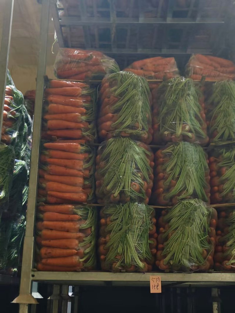 山东莱西精品胡萝卜，专业做土货，北京包，精品箱，越南包，