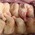 种母鸡排腿