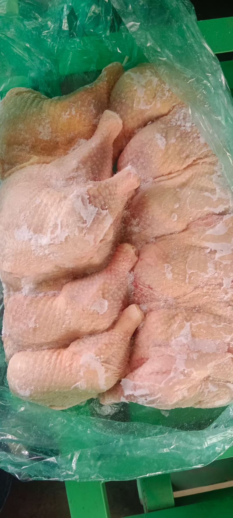 种母鸡排腿