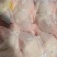 种母鸡排腿
