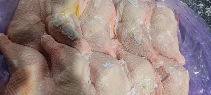 种母鸡排腿