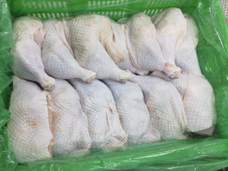种母鸡排腿