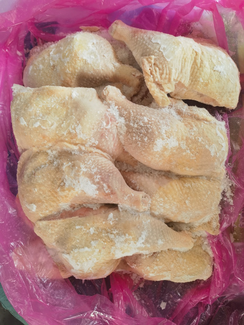 种母鸡排腿