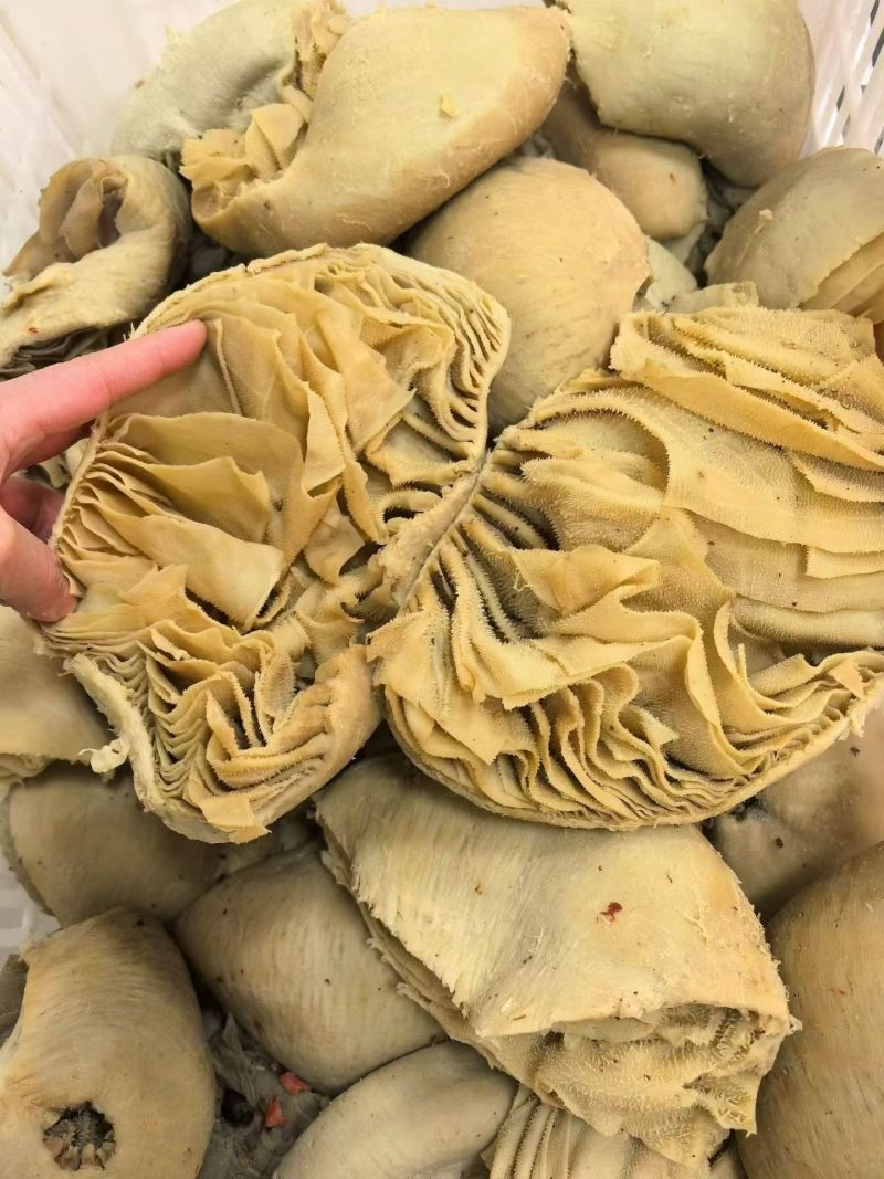 牛百叶，纯干货，适合毛肚，火锅店，自助餐等多种用途。