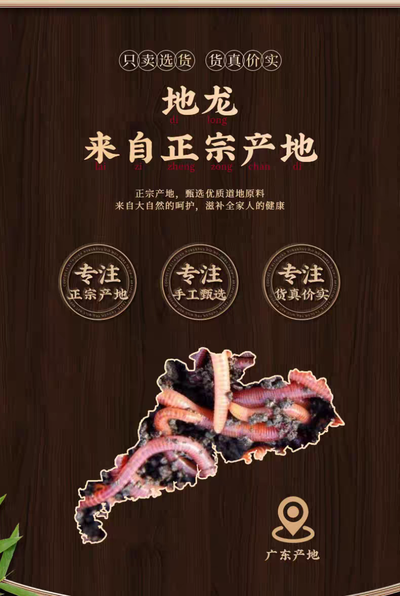 包邮）地龙中药材500克全开广地龙无泥巴蚯蚓干可磨地龙