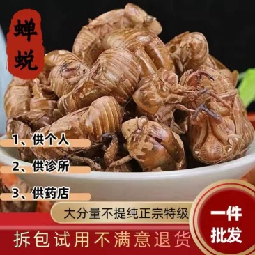 包邮）野生蝉蜕蝉脱中药材蝉蜕壳蝉壳蝉衣蝉皮蝉退虫
