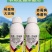 30%肟菌戊唑醇杀菌剂稻瘟病赤霉病大斑病真菌病害农药