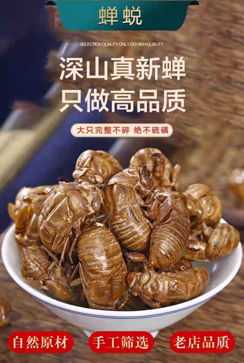 包邮）野生蝉蜕蝉脱中药材蝉蜕壳蝉壳蝉衣蝉皮蝉退虫