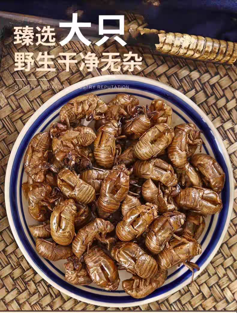 包邮）野生蝉蜕蝉脱中药材蝉蜕壳蝉壳蝉衣蝉皮蝉退虫