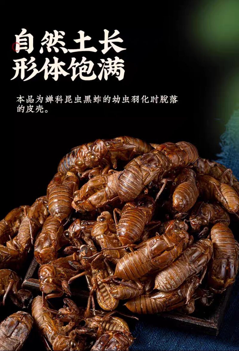 包邮）野生蝉蜕蝉脱中药材蝉蜕壳蝉壳蝉衣蝉皮蝉退虫