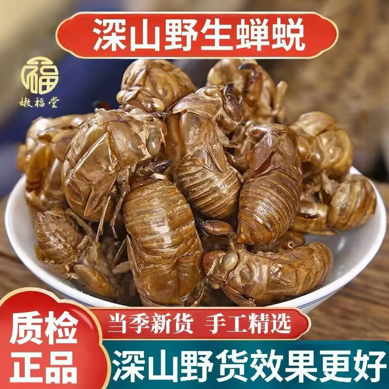 包邮）野生蝉蜕蝉脱中药材蝉蜕壳蝉壳蝉衣蝉皮蝉退虫