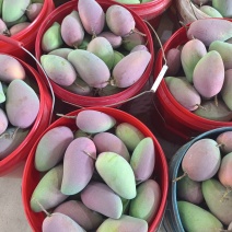 广西热带贵妃芒，100克起，大量上市，高山种植皮薄肉厚甜蜜多
