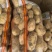 荷兰土豆，2两以上上不封顶，黄