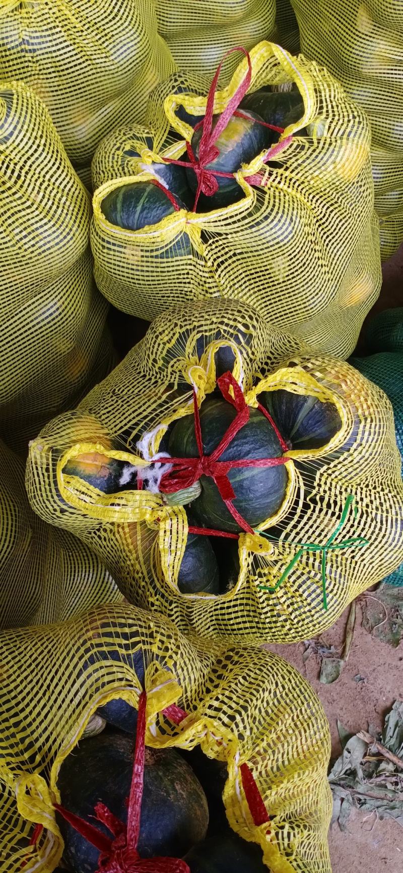 【好货推荐】贝贝南瓜粉糯香甜产地直供对接市场商超电商工厂
