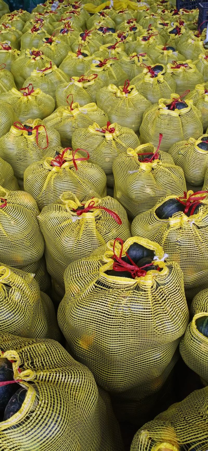 【好货推荐】贝贝南瓜粉糯香甜产地直供对接市场商超电商工厂