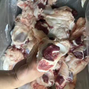 鲜牛窝骨