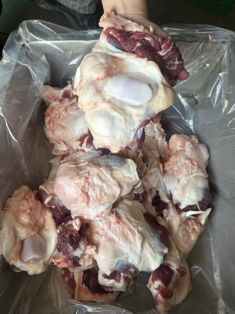 鲜牛窝骨