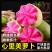 心里美萝卜/产地货源/一件代发/脆萝卜/欢迎来电合作