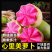 心里美萝卜/产地货源/一件代发/脆萝卜/欢迎来电合作