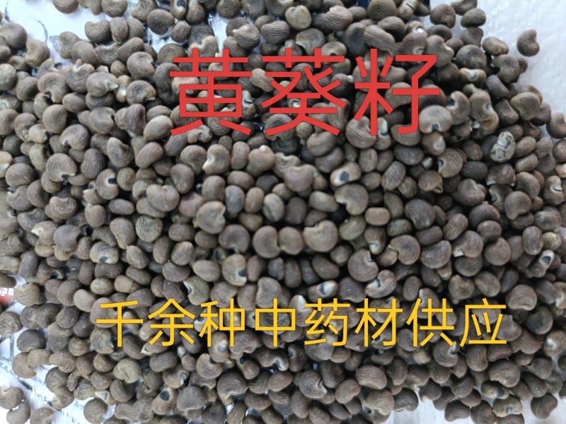 黄葵子，中药材黄葵子供应质量保证价格优惠欢迎咨询购买