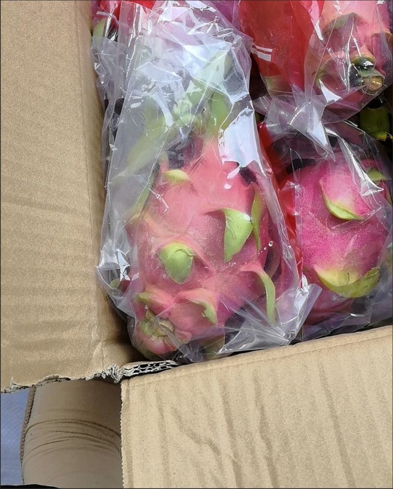 火龙果，新鲜火龙果，包邮到家