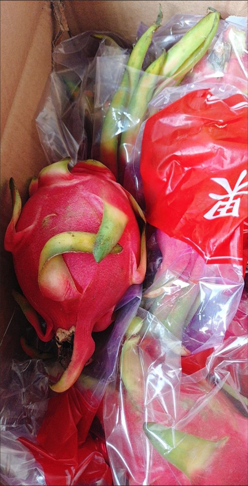 火龙果，新鲜火龙果，包邮到家