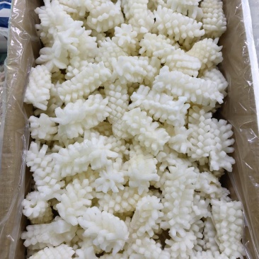 精品鱿鱼花