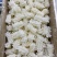 精品鱿鱼花