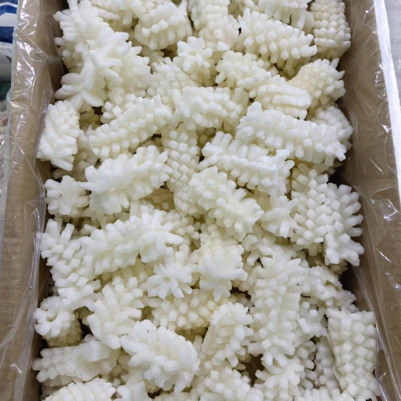 精品鱿鱼花