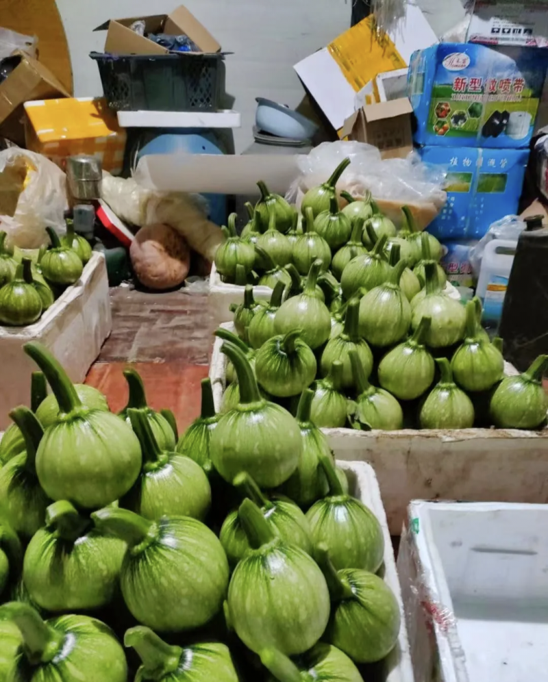 湖北枝江嫩南瓜产地发货一手货源批发品质保证价格美丽