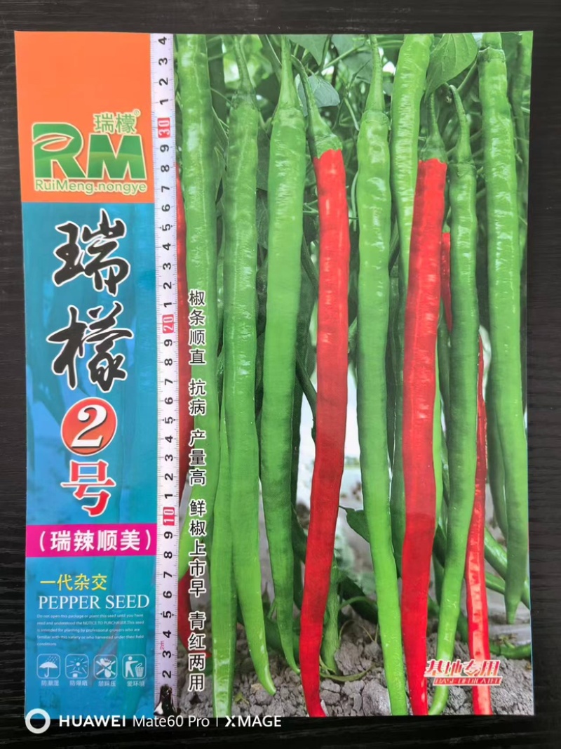 瑞檬8号辣椒种子厂家直销价格优惠质量保证规格齐全