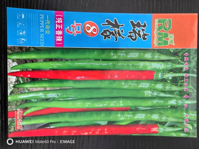 瑞檬8号辣椒种子厂家直销价格优惠质量保证规格齐全