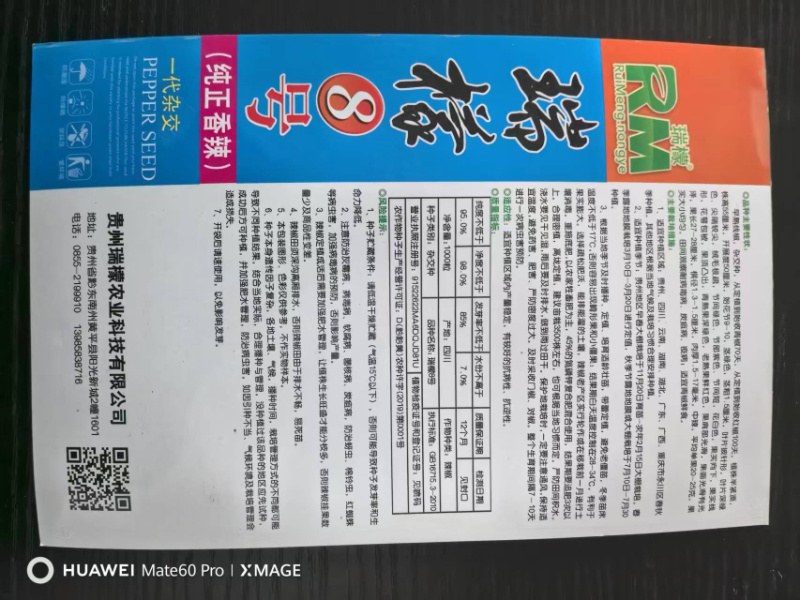 瑞檬8号辣椒种子厂家直销价格优惠质量保证规格齐全