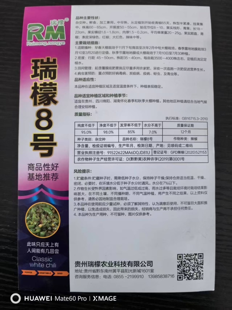 瑞檬8号辣椒种子厂家直销价格优惠质量保证规格齐全