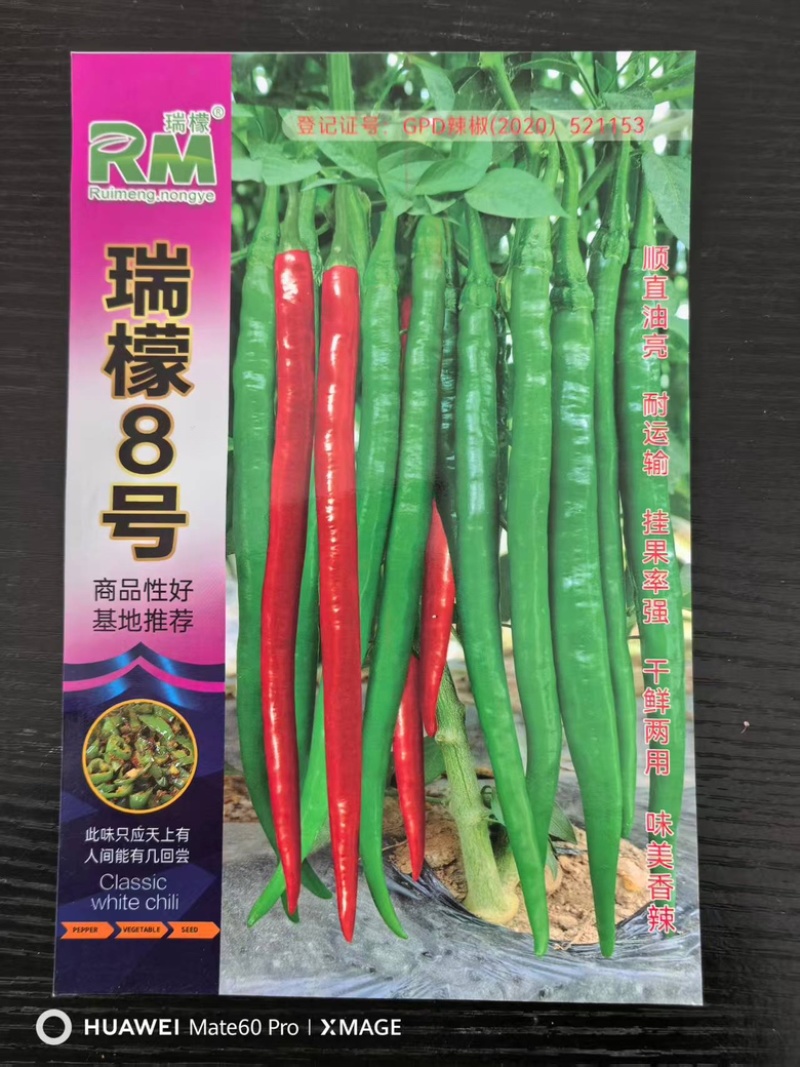瑞檬8号辣椒种子厂家直销价格优惠质量保证规格齐全