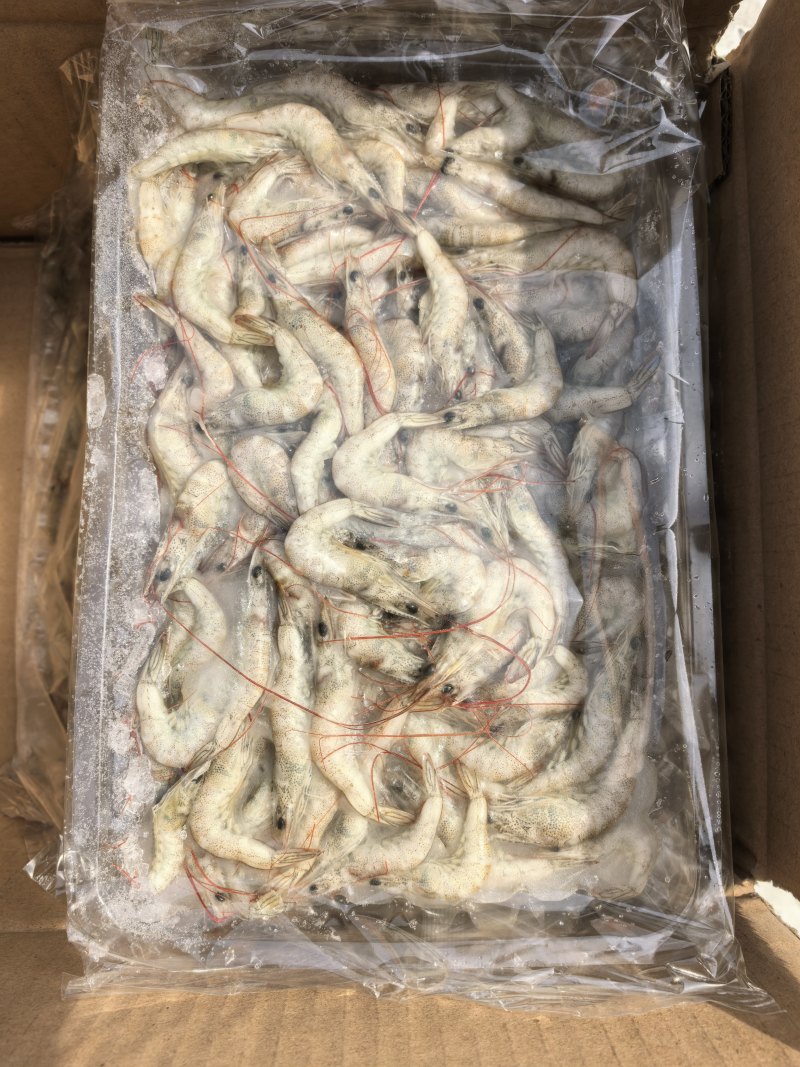 精品小河虾