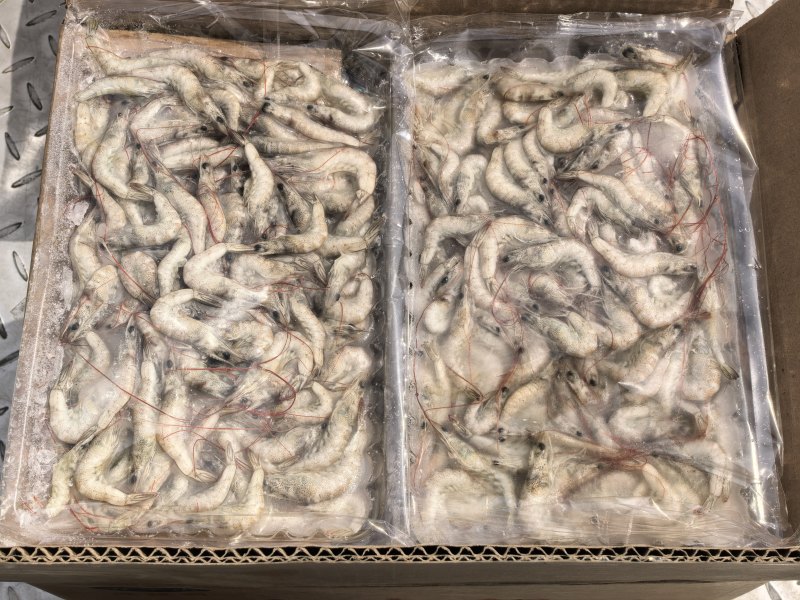 精品小河虾