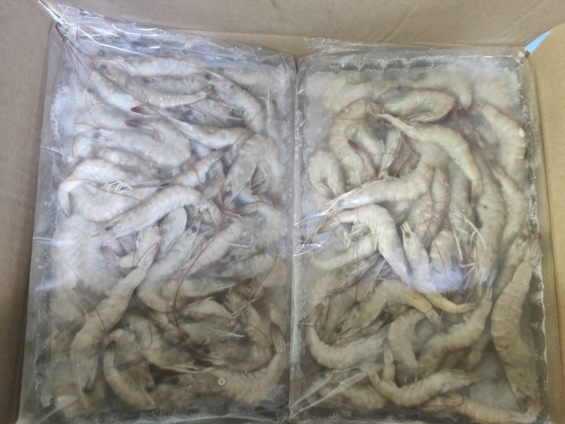精品小河虾