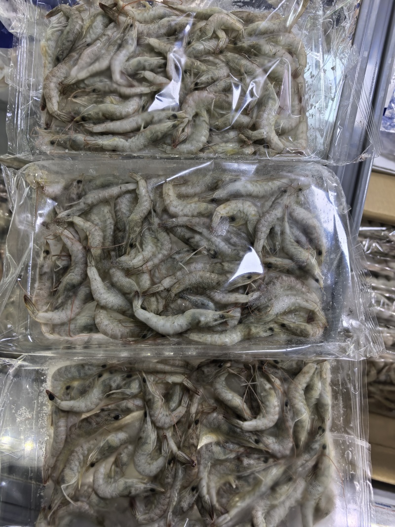 精品小河虾