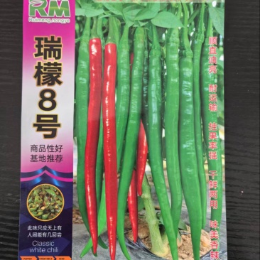 瑞檬8号辣椒种子厂家直销价格优惠质量保证规格齐全