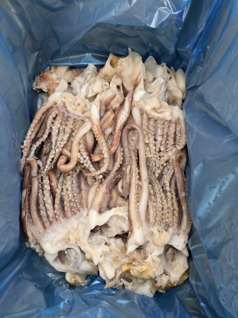 鱿鱼开片头新鲜鱿鱼开片头厂家直供一手货源欢迎咨询