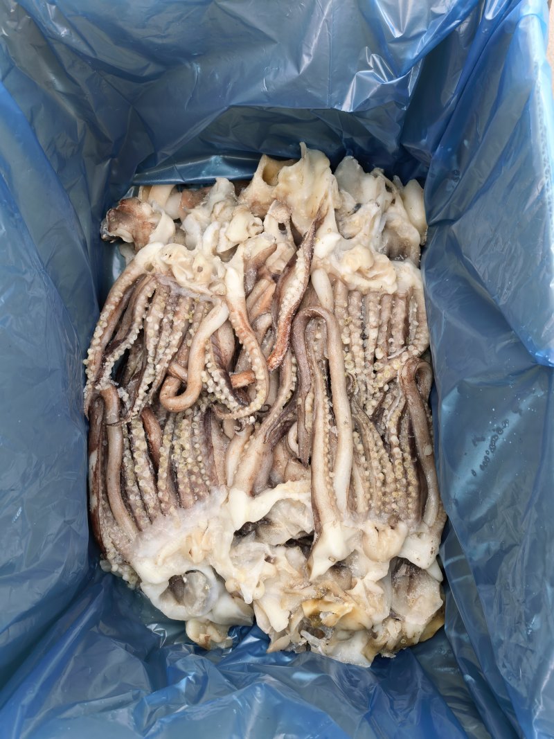 鱿鱼开片头新鲜鱿鱼开片头厂家直供一手货源欢迎咨询