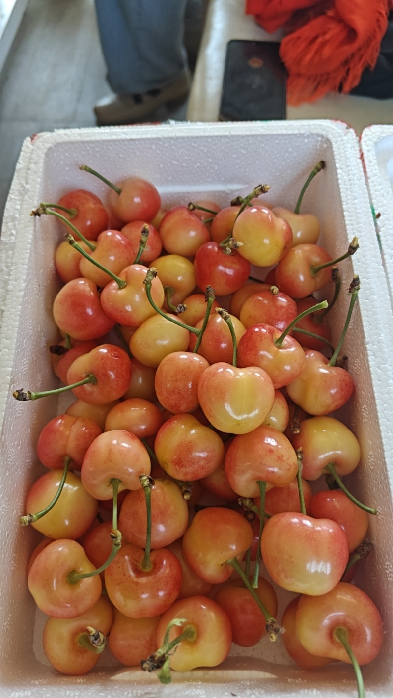 青岛辉煌1-5**精品