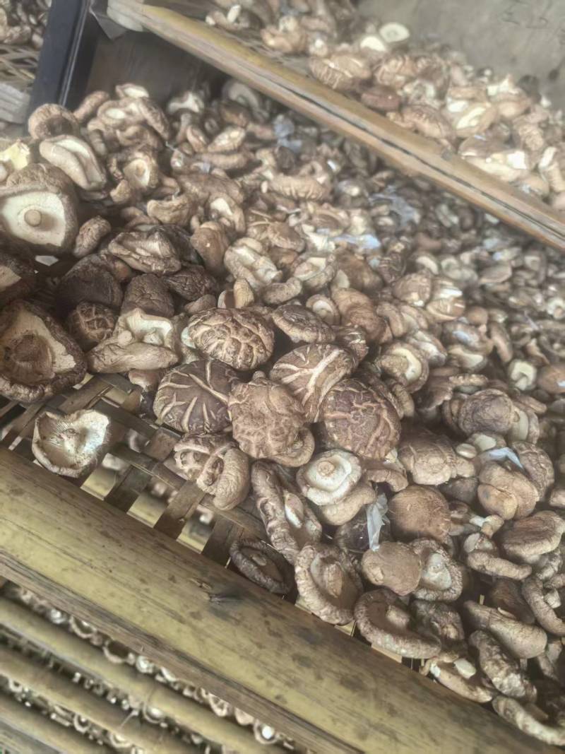 河南干香菇肉厚口感好自然晾晒量大优惠品质保障