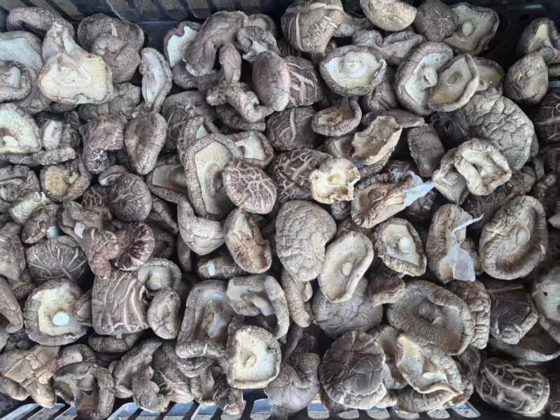 河南干香菇肉厚口感好自然晾晒量大优惠品质保障