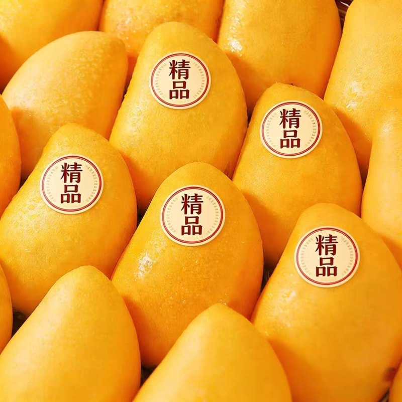 《小台芒》广西芒果/电商一件代发/可开发票/直播供应链