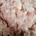 乳鸽肉品质保证价格优惠产地直发诚信经营多年视频看货