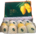小台芒丶金煌芒丶大青芒一件代发/直播电商供应链
