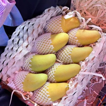小台芒丶金煌芒丶大青芒一件代发/直播电商供应链