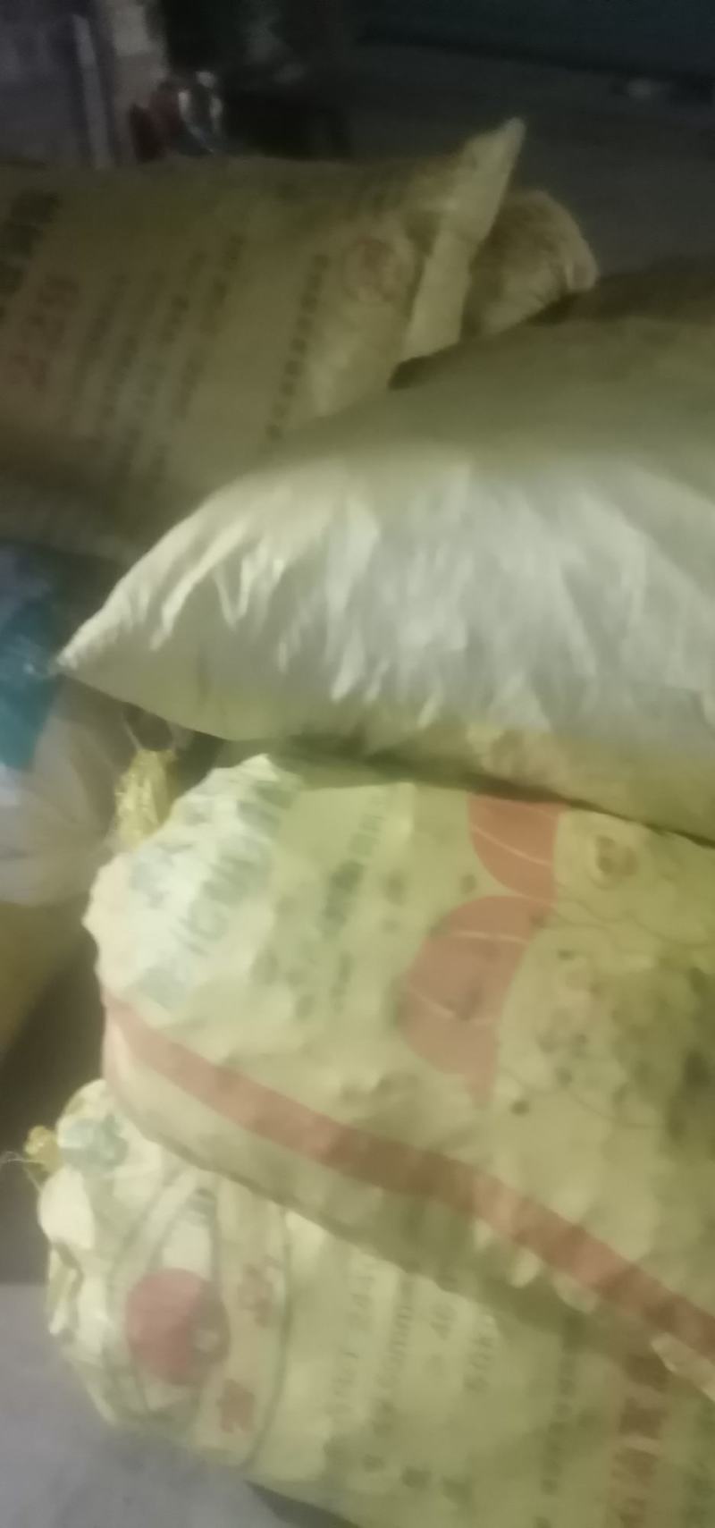 小黄姜产地一手货源